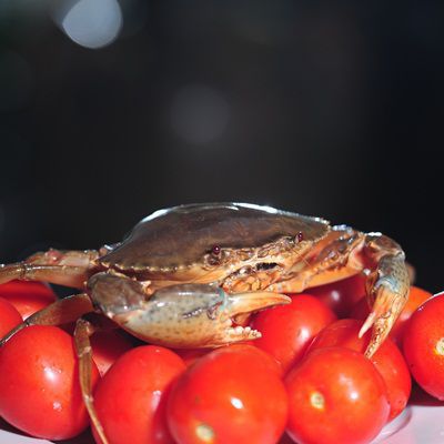  Nhà Hàng Tôm Hùm 168 Nguyễn Khánh Toàn